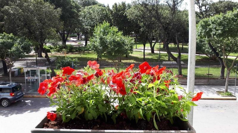 Holidayfever Αλγκέρο Εξωτερικό φωτογραφία
